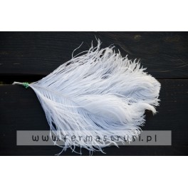 STRUSIE PIÓRA, PIÓRO BIAŁE STRUŚ 25-30 cm